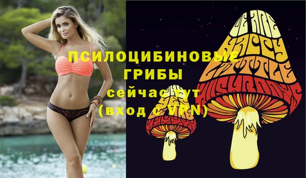 метадон Балахна