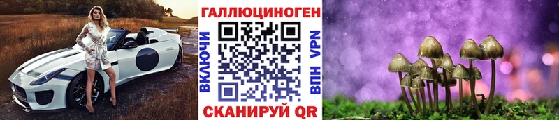 дарк нет наркотические препараты  Борзя  Псилоцибиновые грибы ЛСД  как найти закладки 